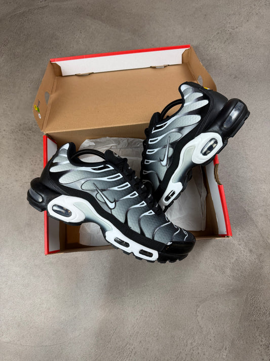Nike Air Max TN Grey Smokes