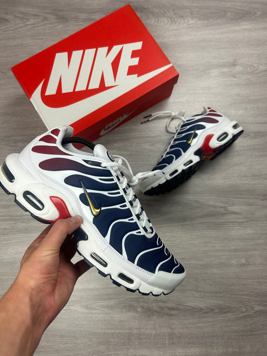 Nike Air Max TN PSG